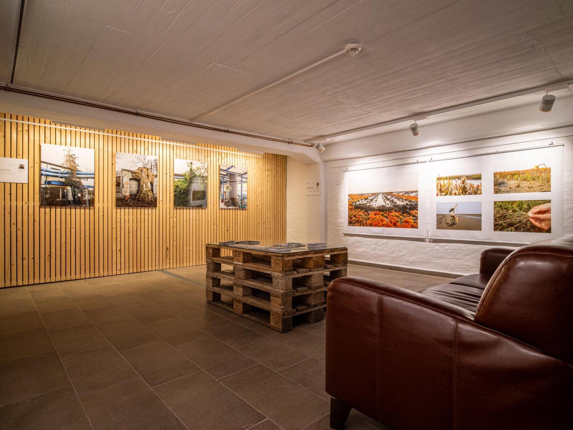 Hotel Stone Zingst Exteriér fotografie